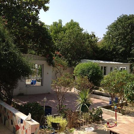 Garden Roomz Oman マスカット エクステリア 写真