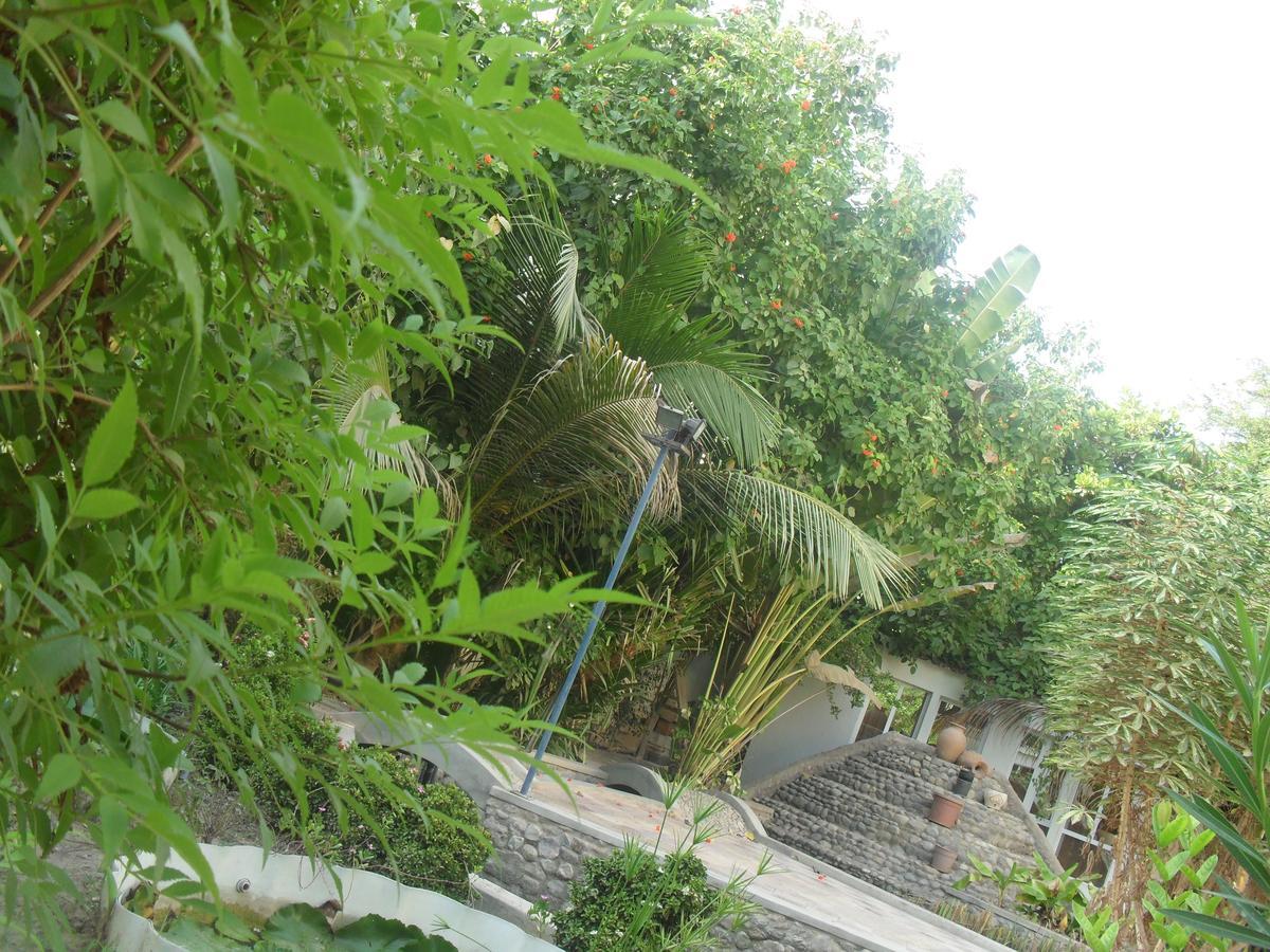 Garden Roomz Oman マスカット エクステリア 写真