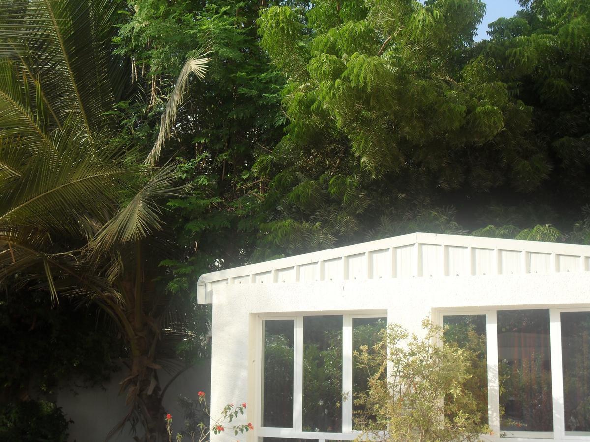 Garden Roomz Oman マスカット エクステリア 写真