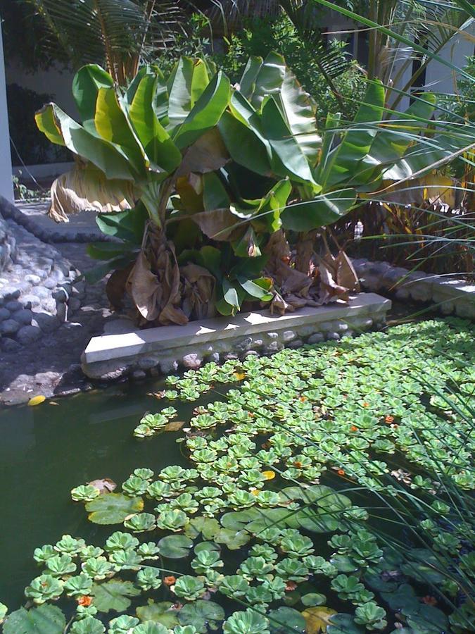 Garden Roomz Oman マスカット エクステリア 写真