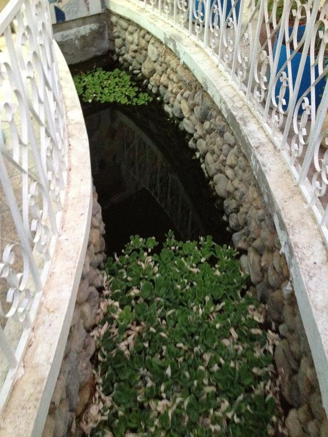 Garden Roomz Oman マスカット エクステリア 写真