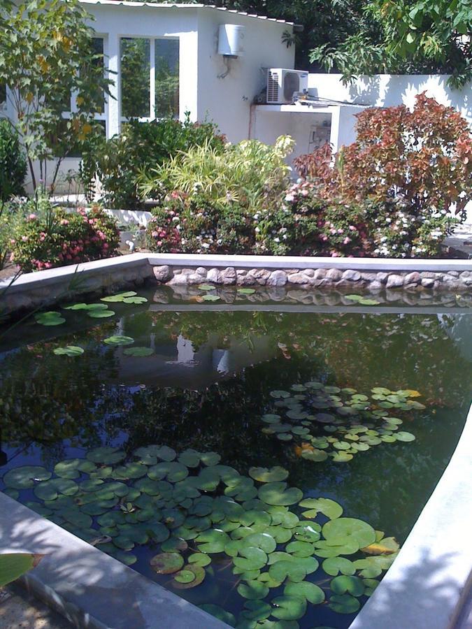 Garden Roomz Oman マスカット エクステリア 写真