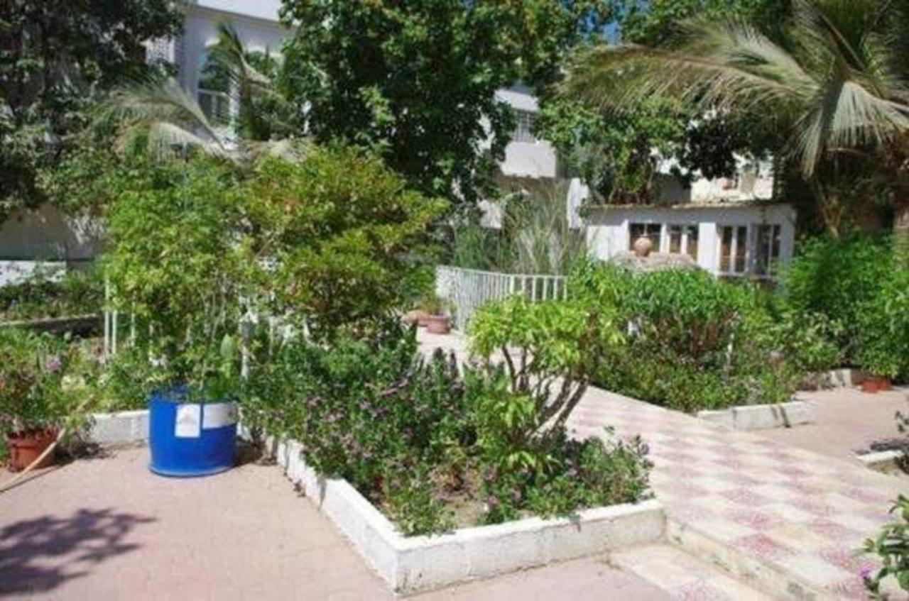 Garden Roomz Oman マスカット エクステリア 写真