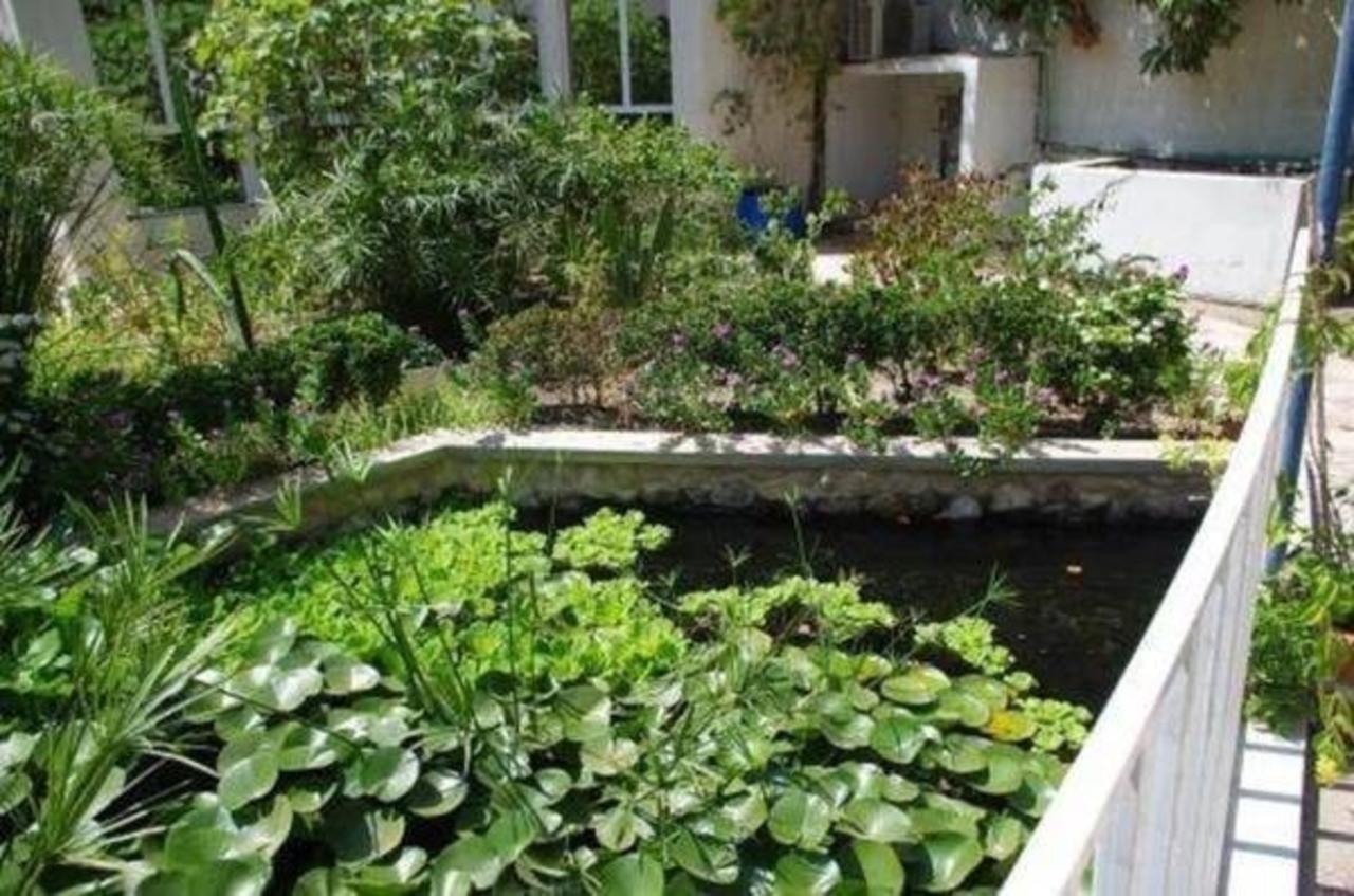 Garden Roomz Oman マスカット エクステリア 写真